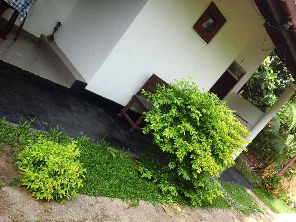 Himasha Guest Hotel Mirissa Exterior foto