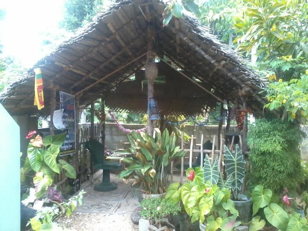 Himasha Guest Hotel Mirissa Exterior foto